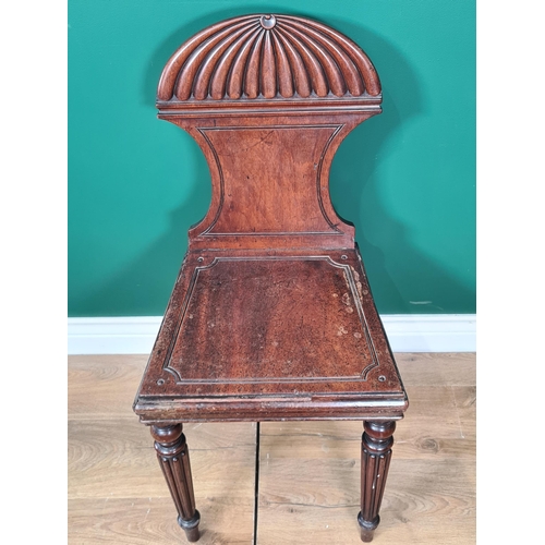 397 - A pair of Regency mahogany Hall Chairs with gadroon carved arched backs, solid seats on turned and f... 