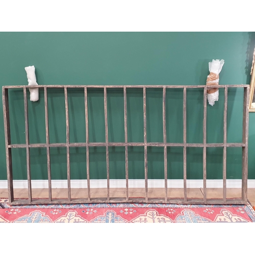 Lot 11        
