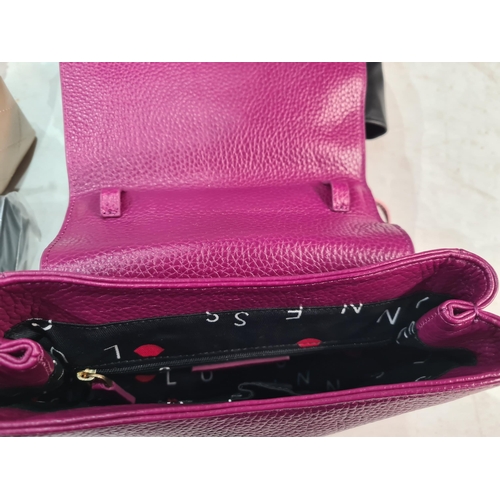 77 - A pink leather Handbag by Lulu Guiness, and eight others by Demellier, etc (R3)