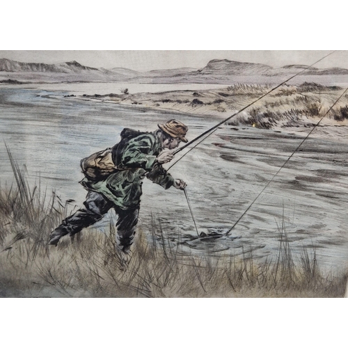 372 - EDWARDS. Two Otters, signed, pencil, 8 x 12 1/2 in; one other pencil drawing by the same hand depict... 