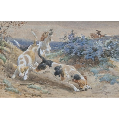 380 - BASIL BRADLEY. Foxhounds on the Scent; and Sheepdogs on a Cliff, signed, and dated 1884 and 1879 res... 