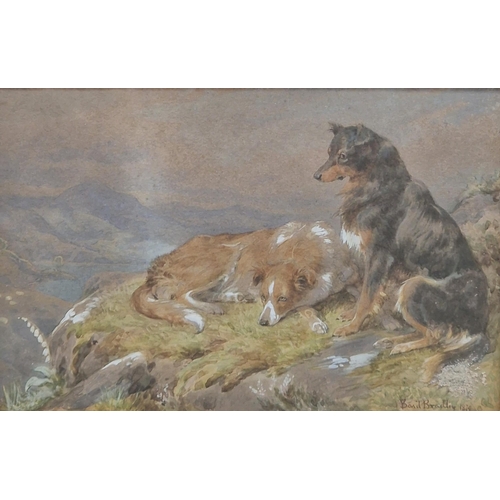380 - BASIL BRADLEY. Foxhounds on the Scent; and Sheepdogs on a Cliff, signed, and dated 1884 and 1879 res... 