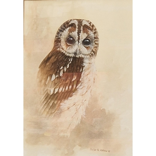 382 - JULIE G. ASKEW. Study of a Tawny Owl, signed, watercolour, 14 1/2 x 11 1/2 in and NICHOLAS VERALL. '... 