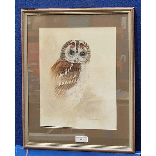 382 - JULIE G. ASKEW. Study of a Tawny Owl, signed, watercolour, 14 1/2 x 11 1/2 in and NICHOLAS VERALL. '... 
