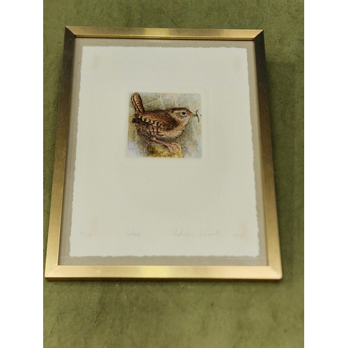 382 - JULIE G. ASKEW. Study of a Tawny Owl, signed, watercolour, 14 1/2 x 11 1/2 in and NICHOLAS VERALL. '... 