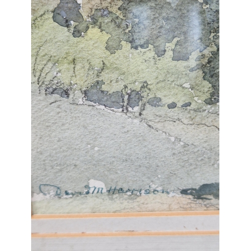 386 - DAVID M. HARRISON. The Haystacks and Sentinals, Buttermere, signed, watercolour, 13 1/2 x 20 in (R6)