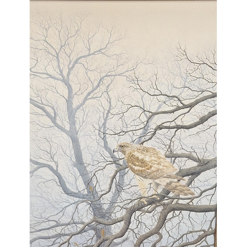 391 - JERRY WAIDE. Young Goshawk, signed, oil on board, 17 1/2 x 14 in (R4)