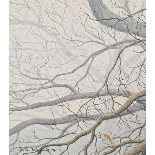 391 - JERRY WAIDE. Young Goshawk, signed, oil on board, 17 1/2 x 14 in (R4)