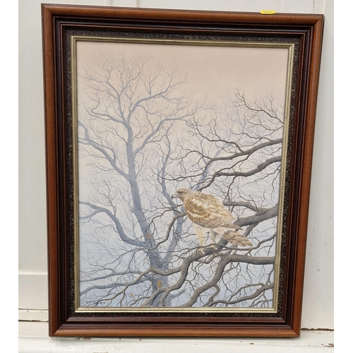 391 - JERRY WAIDE. Young Goshawk, signed, oil on board, 17 1/2 x 14 in (R4)