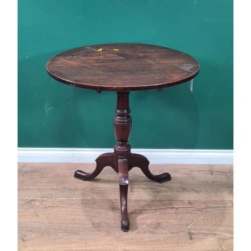 Lot 440       