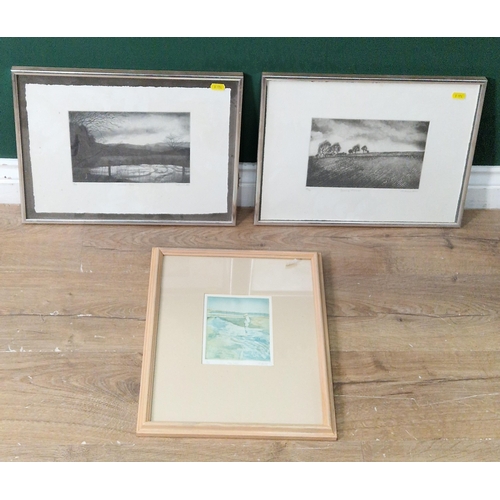 M.RODD. Ramsey Island, coloured etching, artist's proof, pencil signed ...