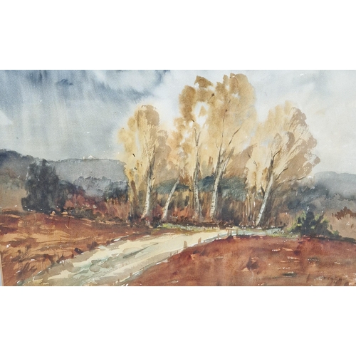 M.RODD. Ramsey Island, coloured etching, artist's proof, pencil signed ...