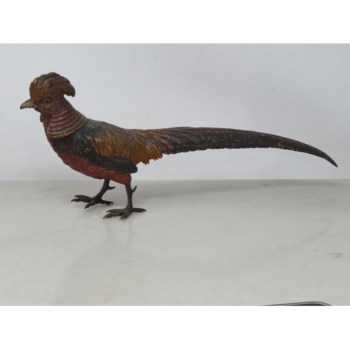 61 - A cold painted bronze type exotic Cock Pheasant, 14 1/2in, one leg A/F