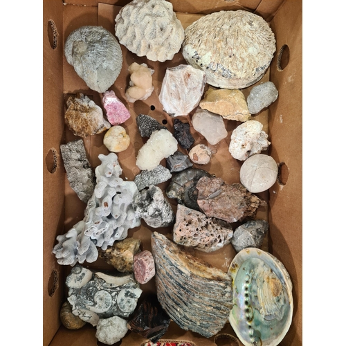 Lot 28        