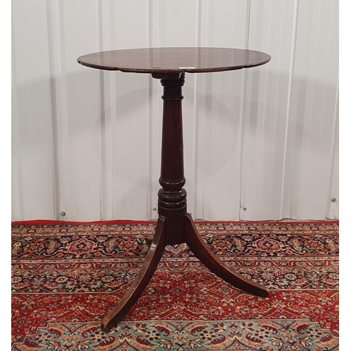 Lot 21        