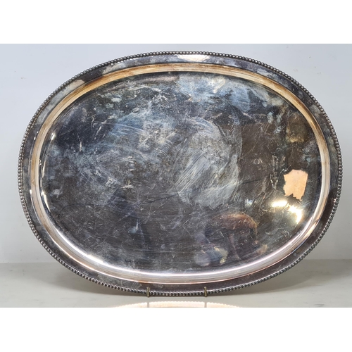 Lot 135       