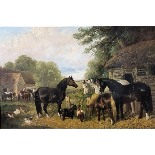 Lot 517       