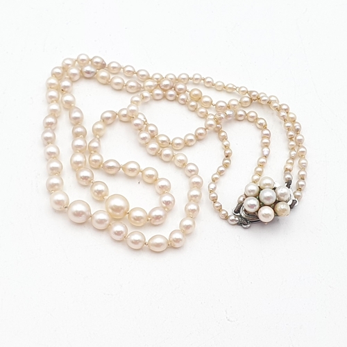 A double strand of graduated Pearls (natural?) on a white metal clasp ...