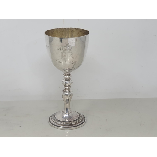 Lot 49B       
