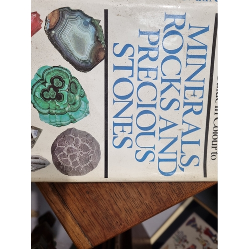 20 - A Box of Minerals, fossilized Fish Vertebrae, Reference Book and a Bowling Wood (R2)