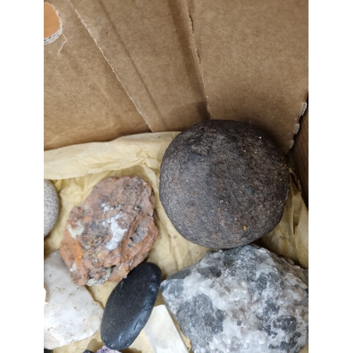 20 - A Box of Minerals, fossilized Fish Vertebrae, Reference Book and a Bowling Wood (R2)