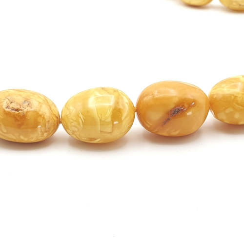 281 - A yellow Amber bead Necklace, approx 135gms, a long modern Amber chip Necklace and a white metal sty... 