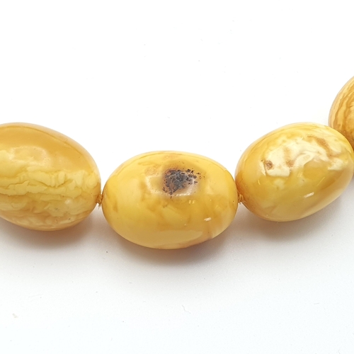 281 - A yellow Amber bead Necklace, approx 135gms, a long modern Amber chip Necklace and a white metal sty... 