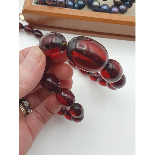 295 - A Cherry Amber type/ Bakelite style Bead Necklace, a further orange bead Necklace, a black freshwate... 