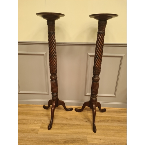 Lot 21        