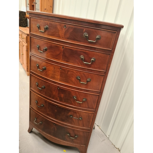 Lot 24        