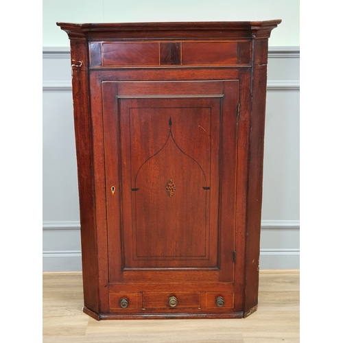 Lot 28        