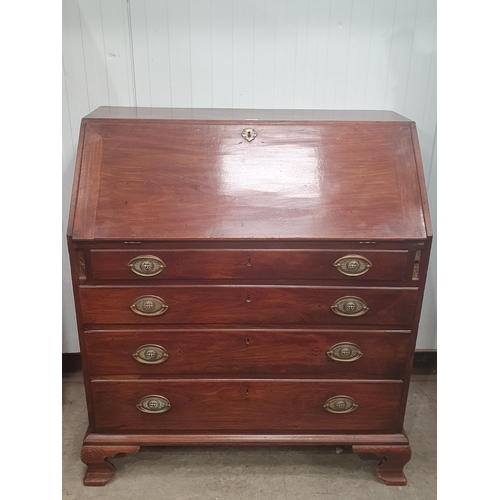 Lot 11        