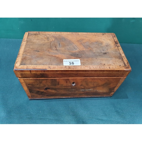 Lot 16        