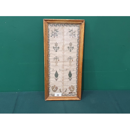 Lot 24        