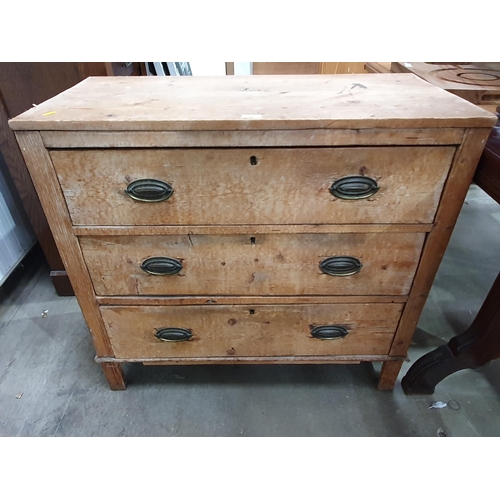Lot 31        