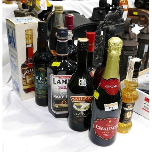 318 - Ten vintage bottles of alcohol - Baileys, Lambs Navy Rum, Bols liqueur etc