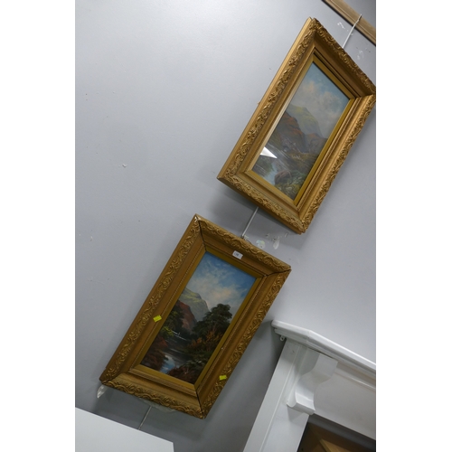 15 - Pair of mountain scenes, indistinctly signed, in heavy ornate frames, 70 cm x 44 cm