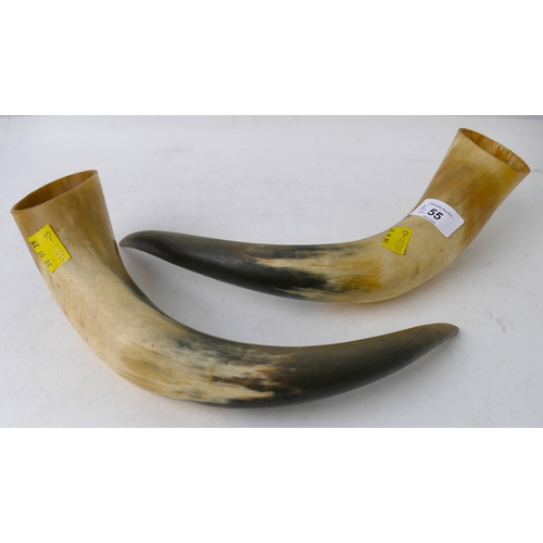 55 - Pair of horns