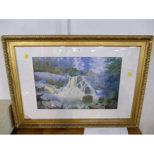 Lot 7         