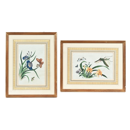 Lot 23        