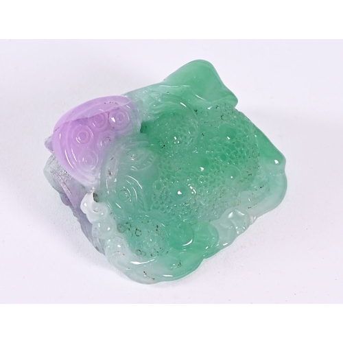 Lot 25        