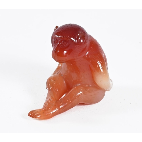 Lot 26        