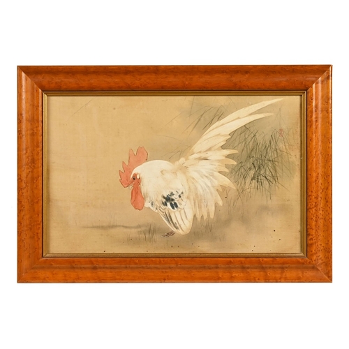 Lot 54        