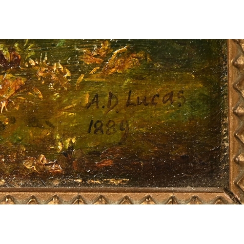 526 - Albert Durer Lucas (1828-1918), oil on canvas 