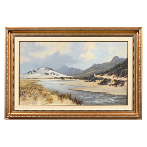 528 - E Edwards, oil on board of a shoreline inlet. 54 cm x 22 cm, framed mounted and glazed.