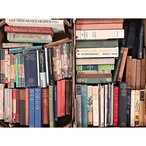 Lot 29        