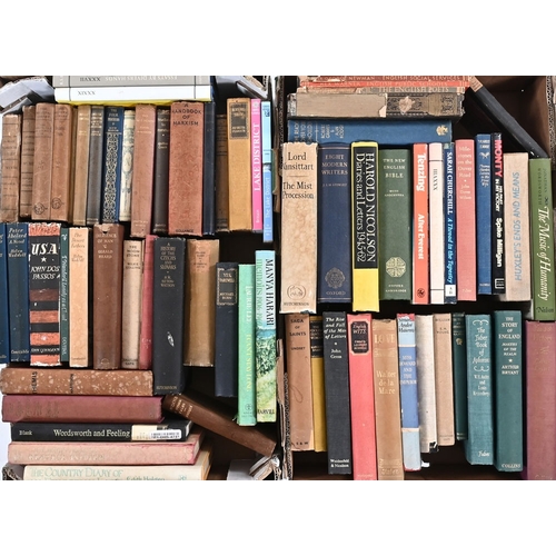 Lot 30        