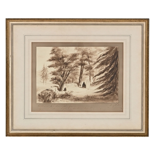 Lot 38        