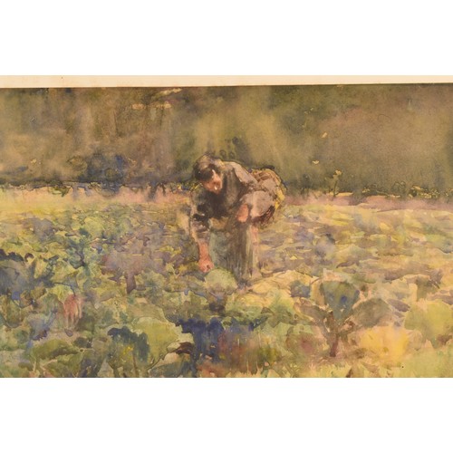 284 - Giffard Hocart Lenfestey (British, 1872-1943)Picking vegetables, watercolour, signed and dated '96, ... 