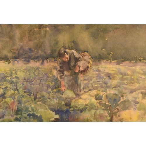 284 - Giffard Hocart Lenfestey (British, 1872-1943)Picking vegetables, watercolour, signed and dated '96, ... 